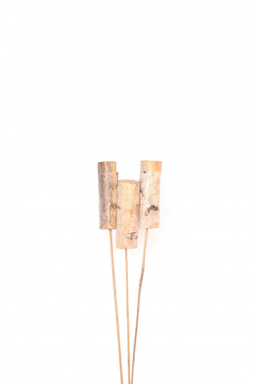 Dried Birch Spike 3 Stem Natural