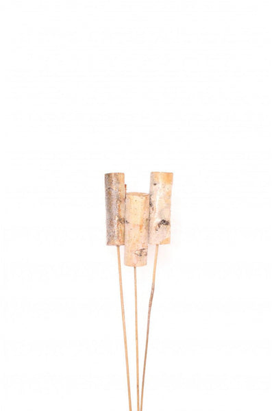 DRIED BIRCH SPIKE 3/PC NATL.