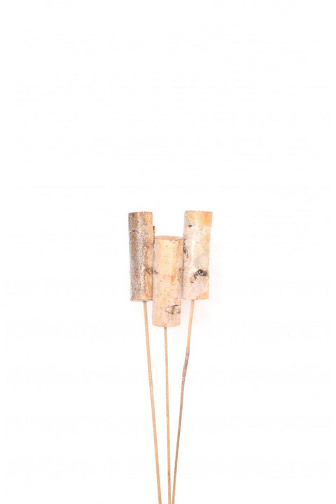 DRIED BIRCH SPIKE 3/PC NATL.