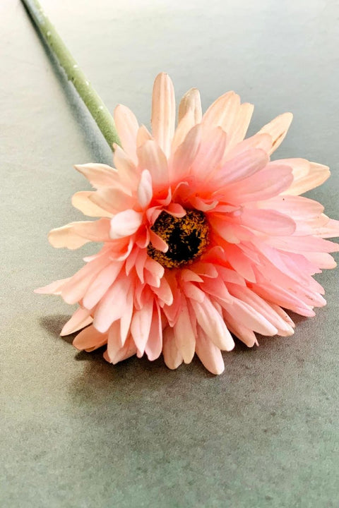 SILK GERBERA DY STEM FT 22" PK