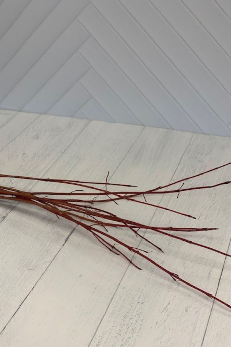 Dogwood, Cardinal Bunch Tips (24-36")