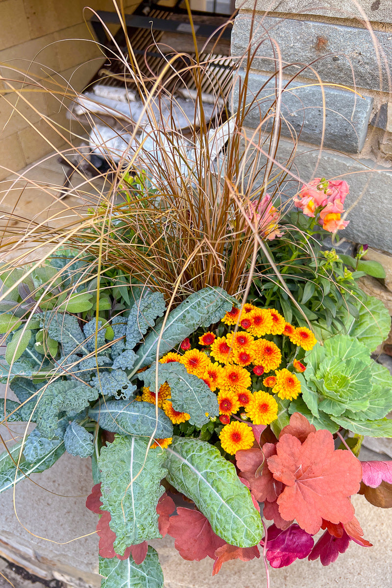 Chalet Signature | Fall | Farmhouse