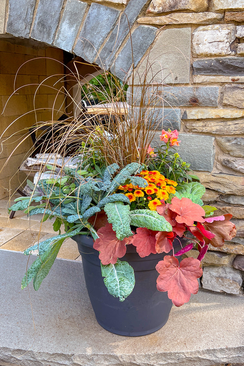 Chalet Signature | Fall | Farmhouse