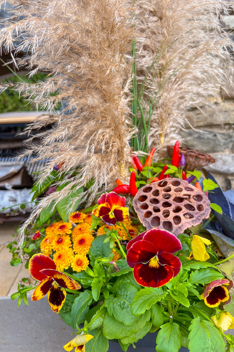 Chalet Signature | Fall | Classic + Fresh