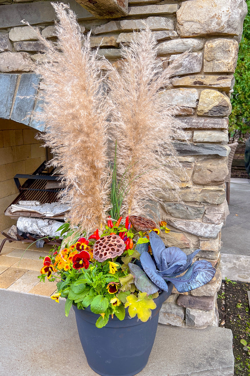 Chalet Signature | Fall | Classic + Fresh