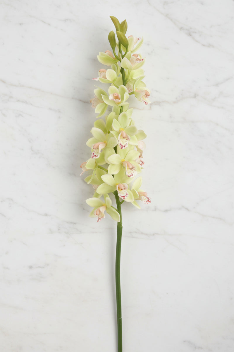 Faux Cymbidium Orchid Spray 31" Green