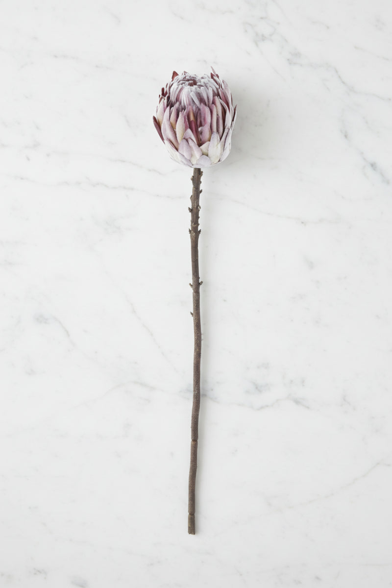 Faux Flocked King Protea Stem 26" Purple
