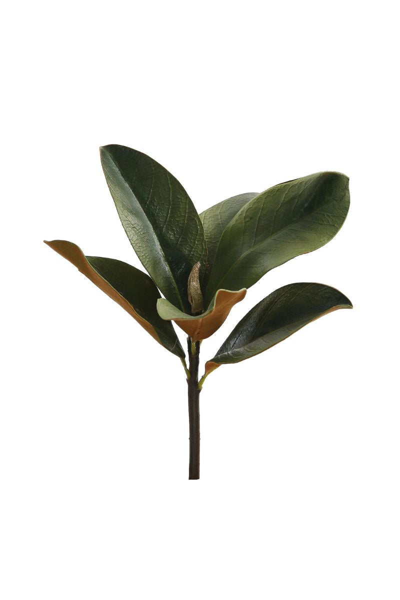 Faux Mini Magnolia Leaf Pick 11.5" Green