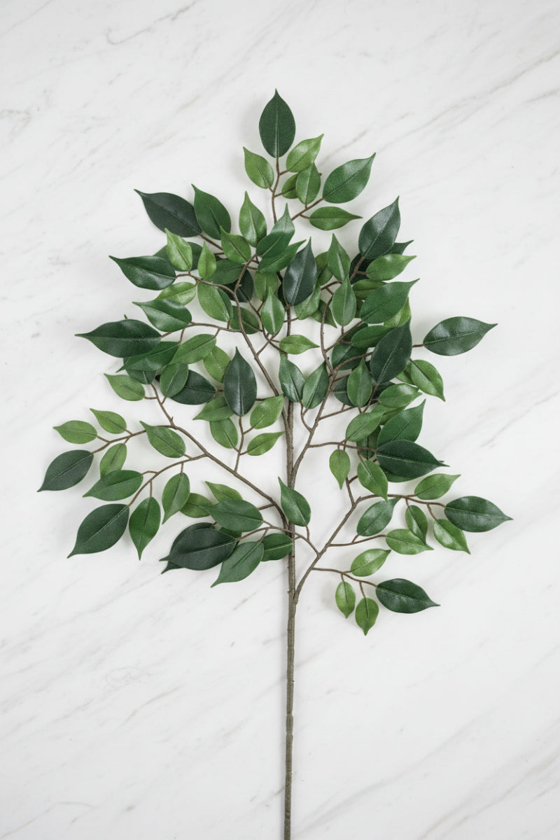 Faux Nitida Ficus Spray 23" Green
