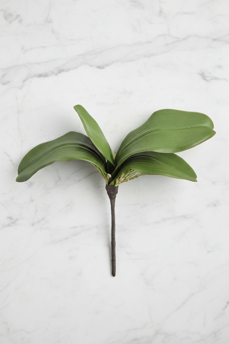 Faux Phalaenopsis Leaf Plant 10" Green