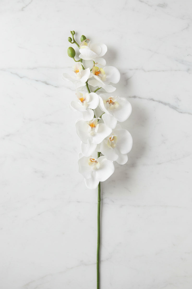 Faux Phalaenopsis Spray 26" White