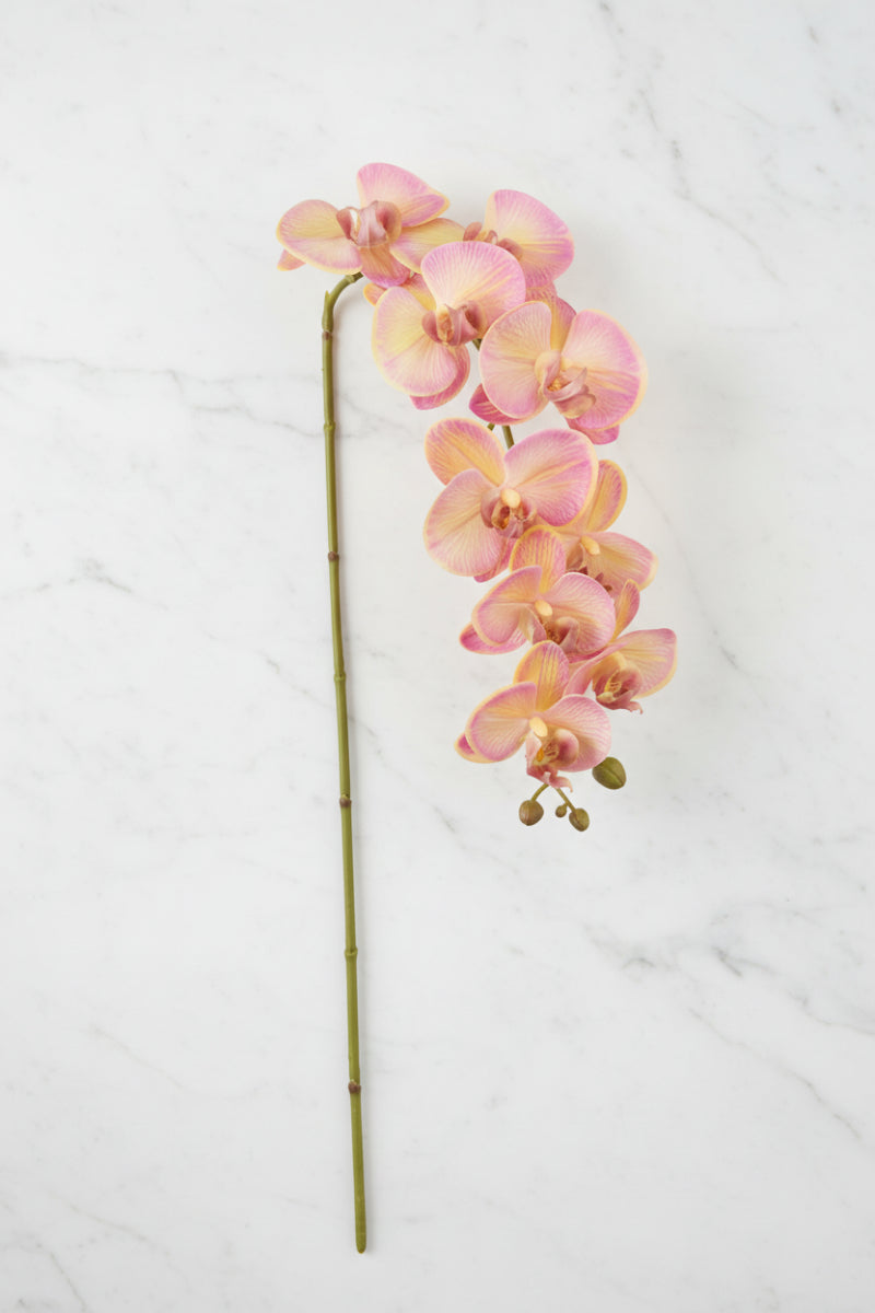 Faux Phalaenopsis Spray 38" Yellow & Fuchsia