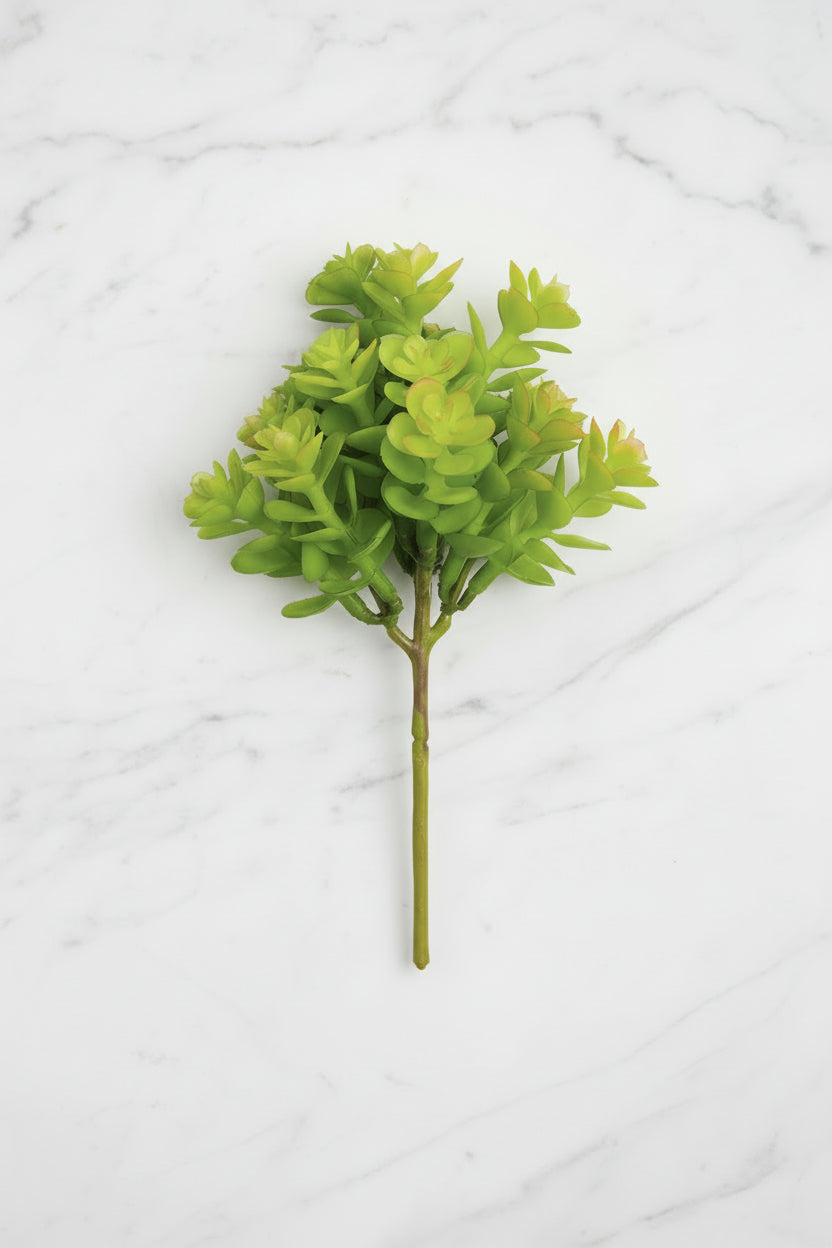 Faux Real Touch Sedum Pick 7.5" Two Tone Green