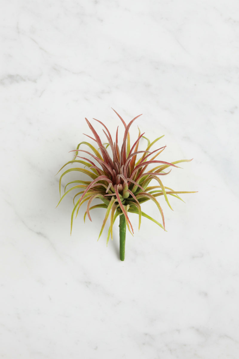 Faux Tillandsia Pick 6" Green & Red