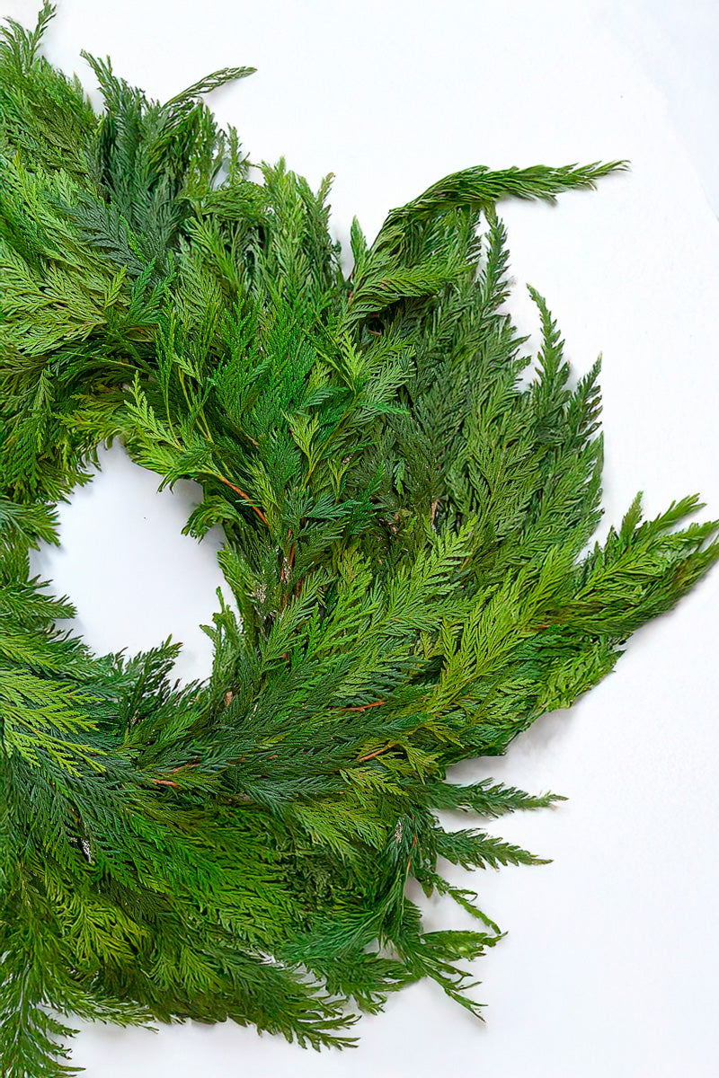 Roping, Red Cedar 25'