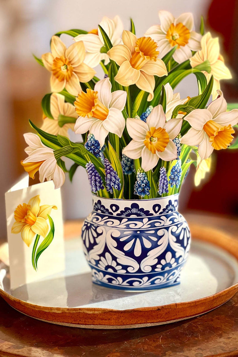 FreshCut Paper English Daffodils