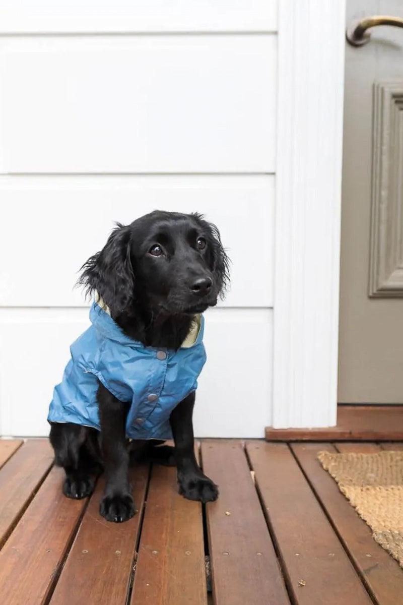 FuzzYard Life Raincoat Size 1 French Blue