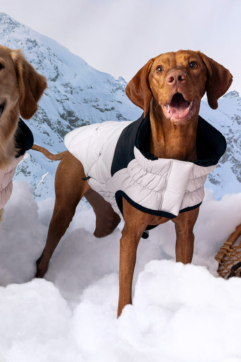 GF Pet Diamond Puffer Coat M Grey