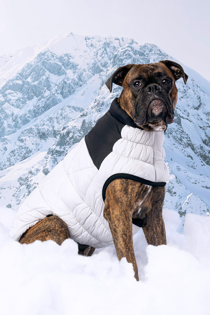 GF Pet Diamond Puffer Coat L Grey