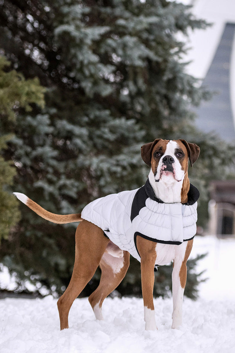 GF Pet Diamond Puffer Coat 2XL Grey