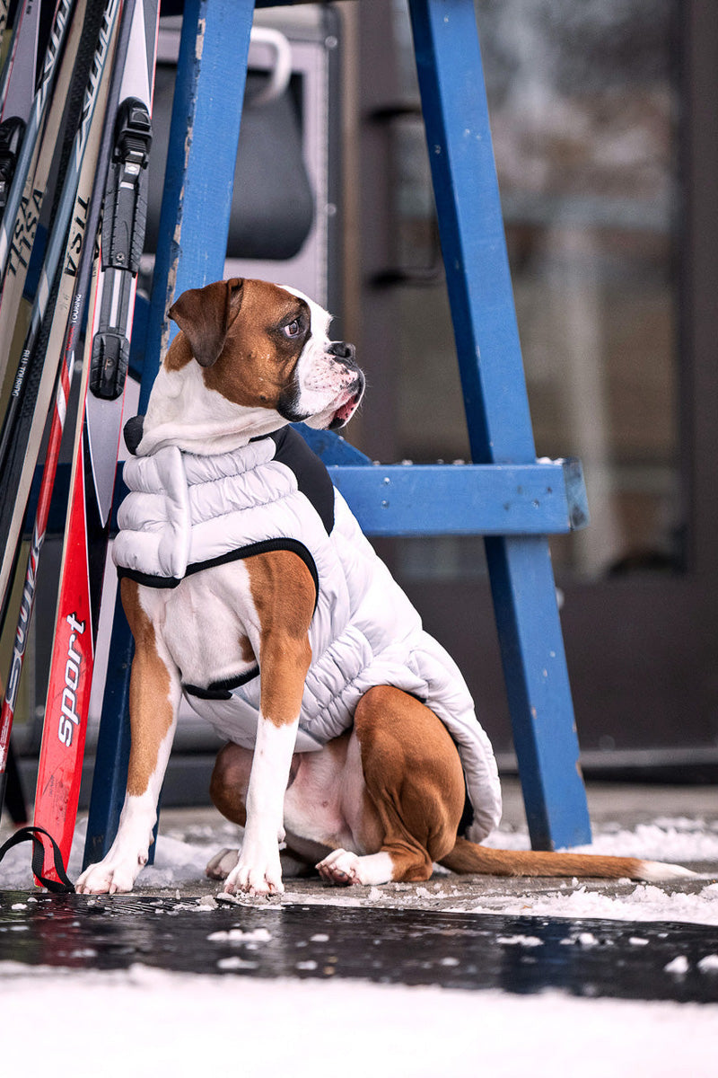 GF Pet Diamond Puffer Coat L Grey