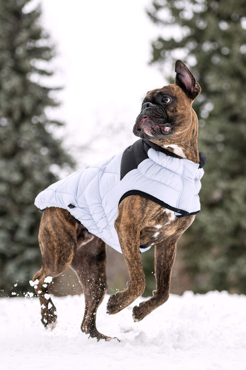 GF Pet Diamond Puffer Coat L Blue