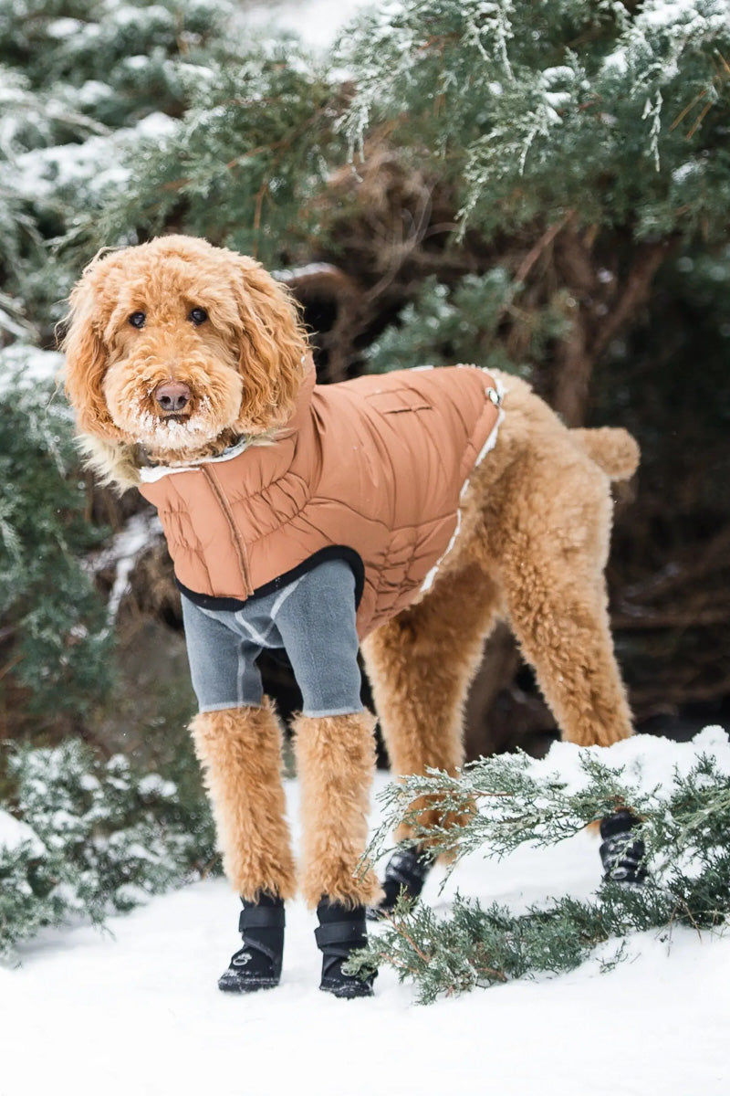 GF Pet Urban Parka L Caramel
