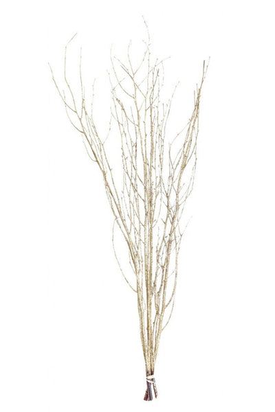 DRIED TWINKLY TWIGS GOLD 48"