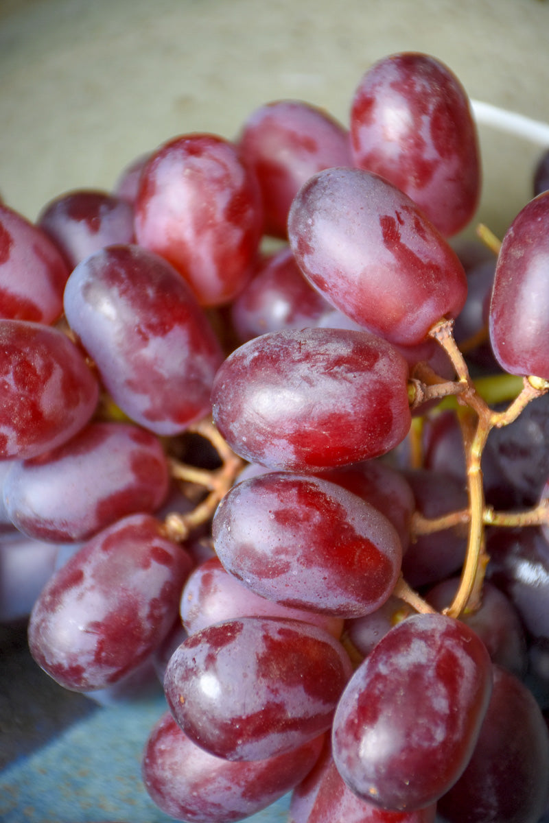 Fruit, Grape Reliance Red