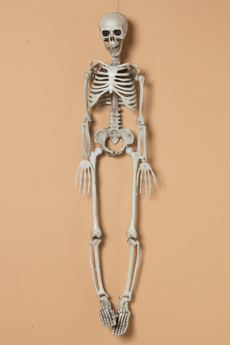 Hanging Plastic Skeleton 36.3"