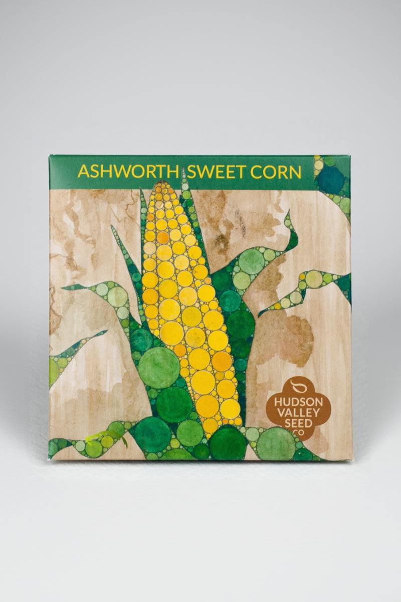 Hudson Valley Seed Co. Ashworth Sweet Corn Seeds