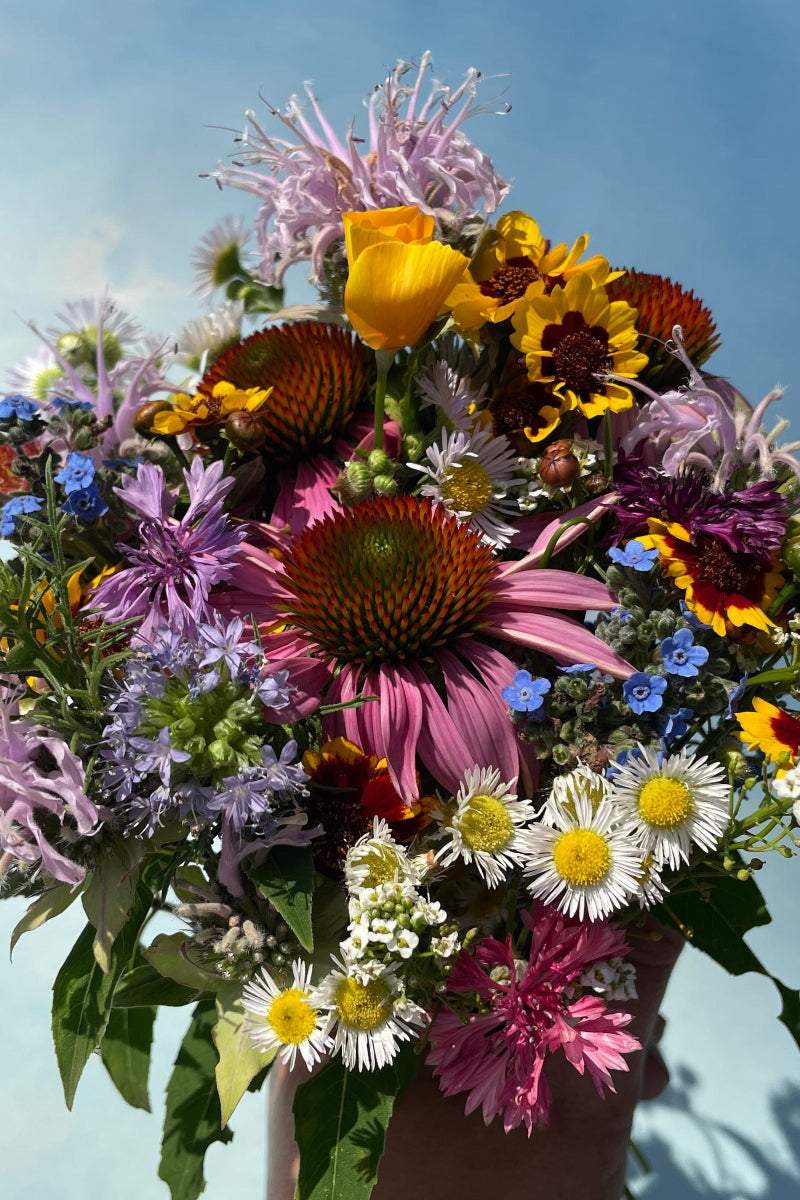 Hudson Valley Seed Co. Bee Nectary Mix Seeds