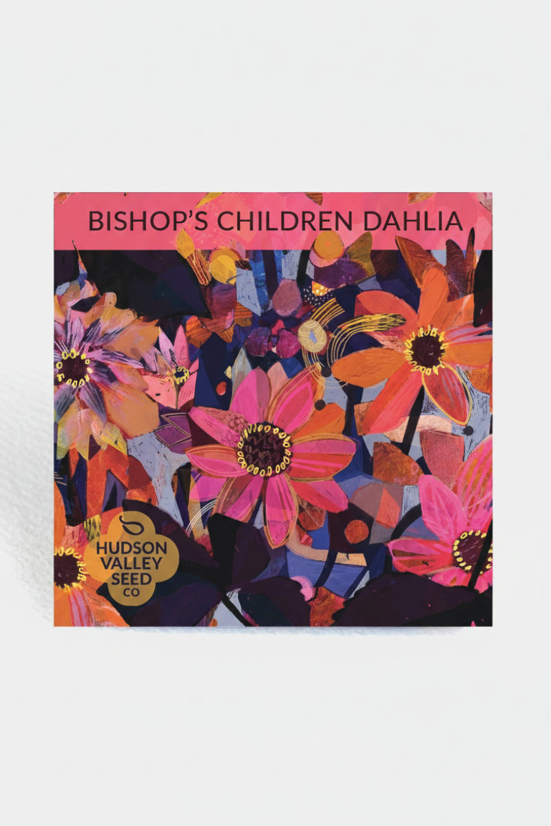 Hudson Valley Seed Co. Bishop's Children Dahlia Seeds