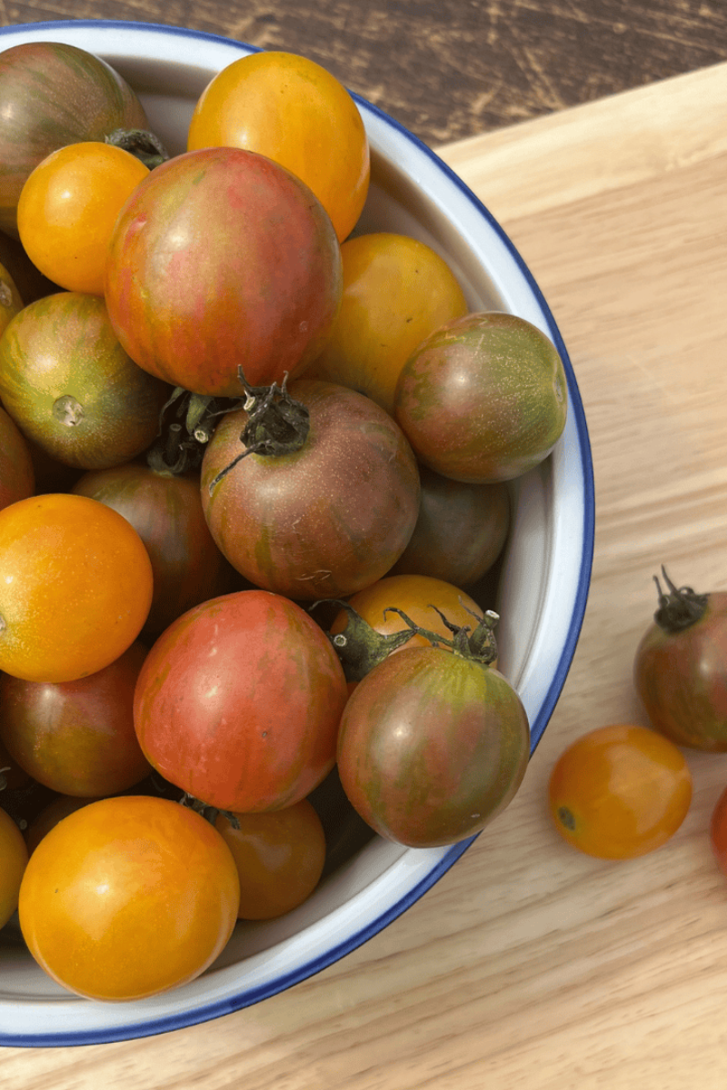 Hudson Valley Seed Co. Bumble Bee Mix Cherry Tomato Seeds