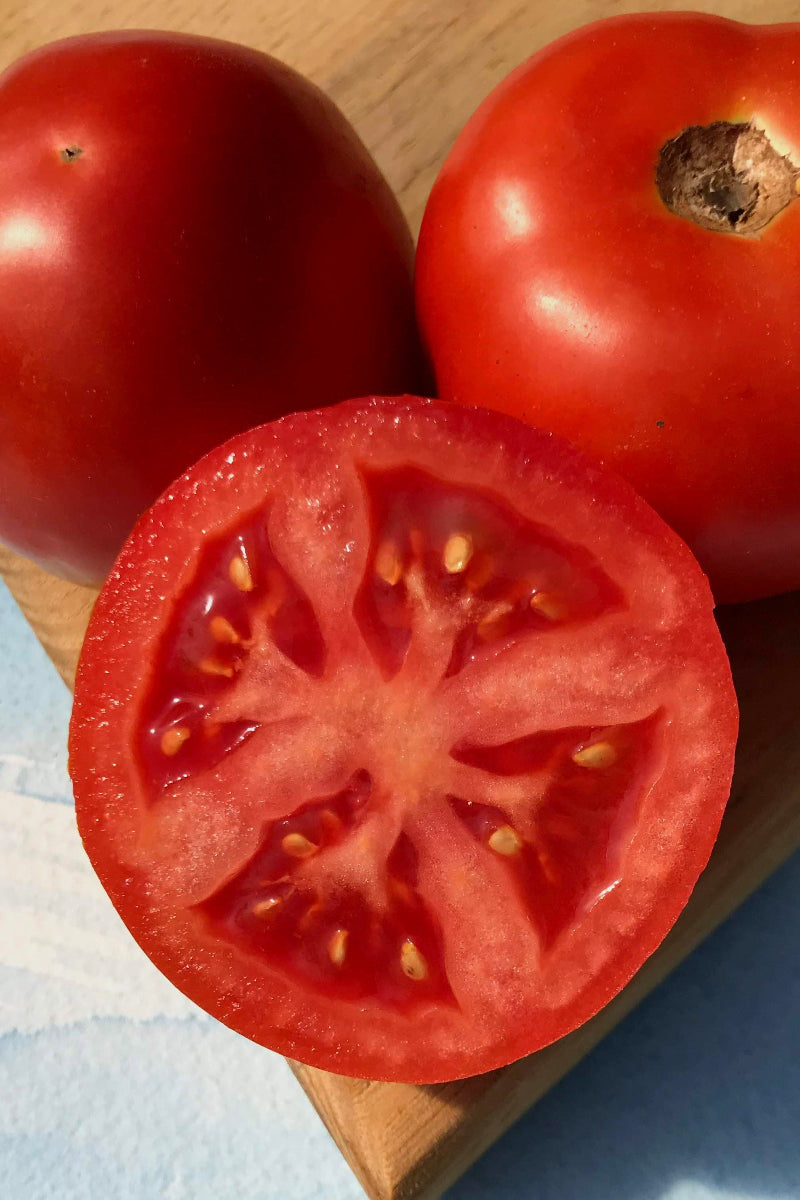 Hudson Valley Seed Co. Jersey Breeze Tomato Seeds