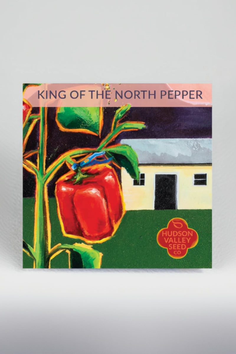 Hudson Valley Seed Co. King Of The North Pepper Seeds - Thumbnail 2