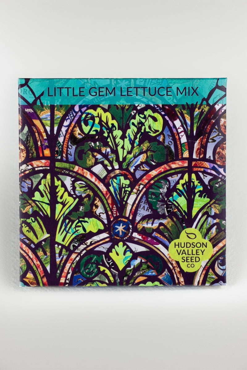 Hudson Valley Seed Co. Little Gem Lettuce Mix Seeds