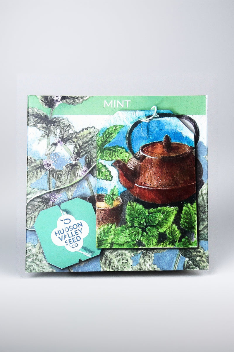 Hudson Valley Seed Co. Mint Seeds