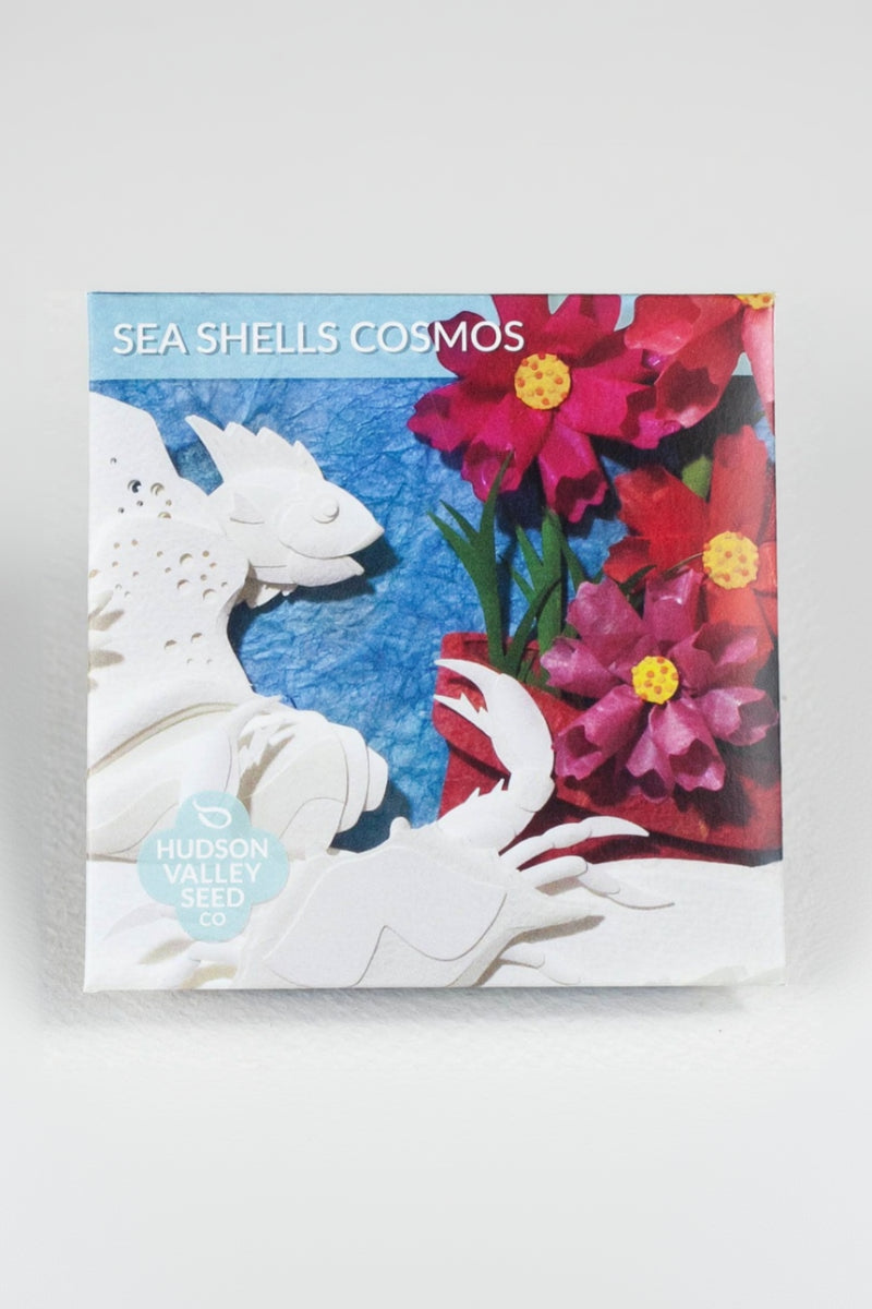 Hudson Valley Seed Co. Sea Shells Cosmos Seeds