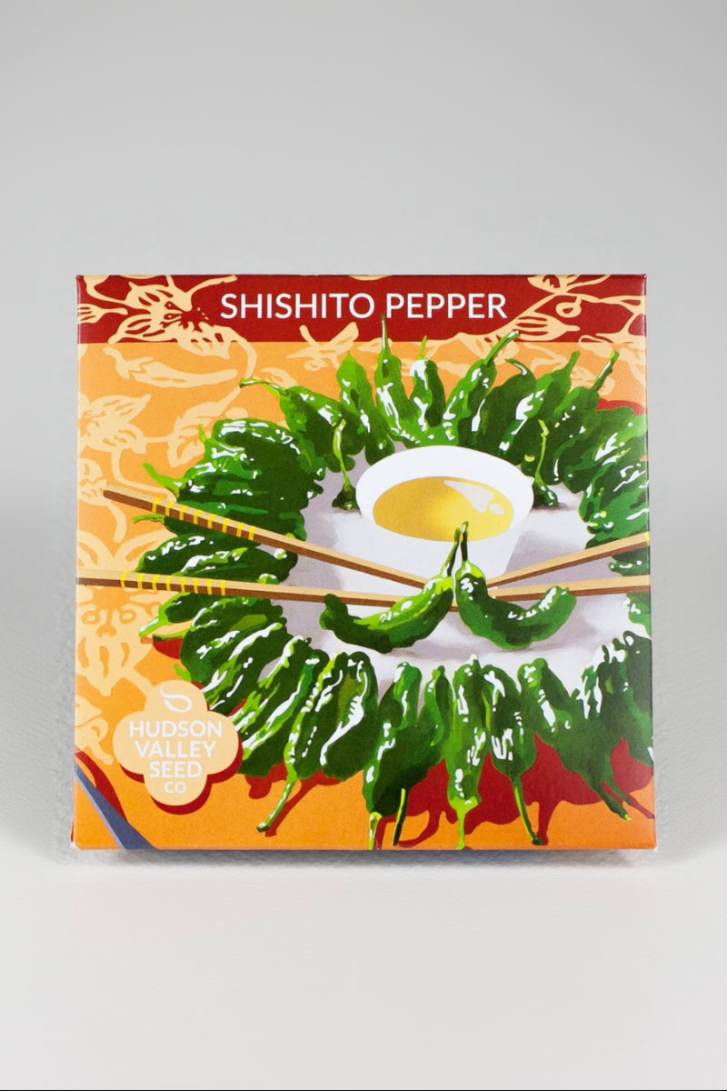 Hudson Valley Seed Co. Shishito Pepper Seeds - Thumbnail 2