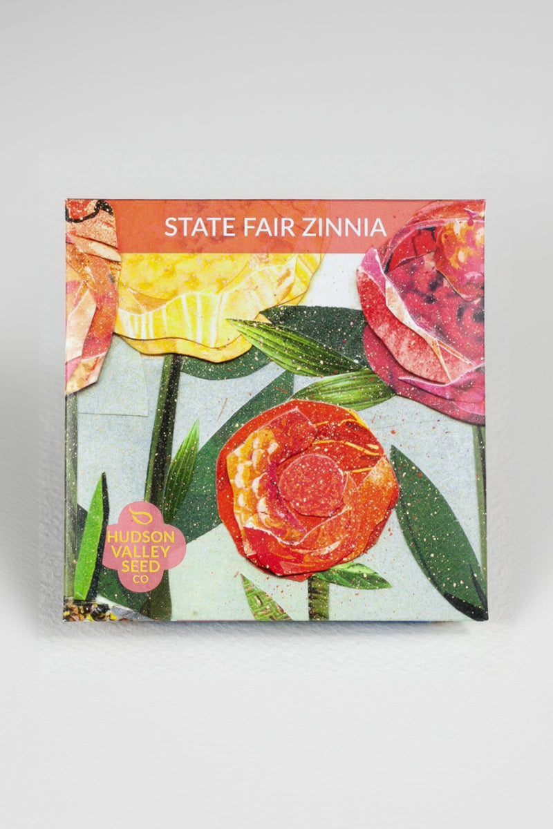 Hudson Valley Seed Co. State Fair Zinnia Seeds - Thumbnail 3