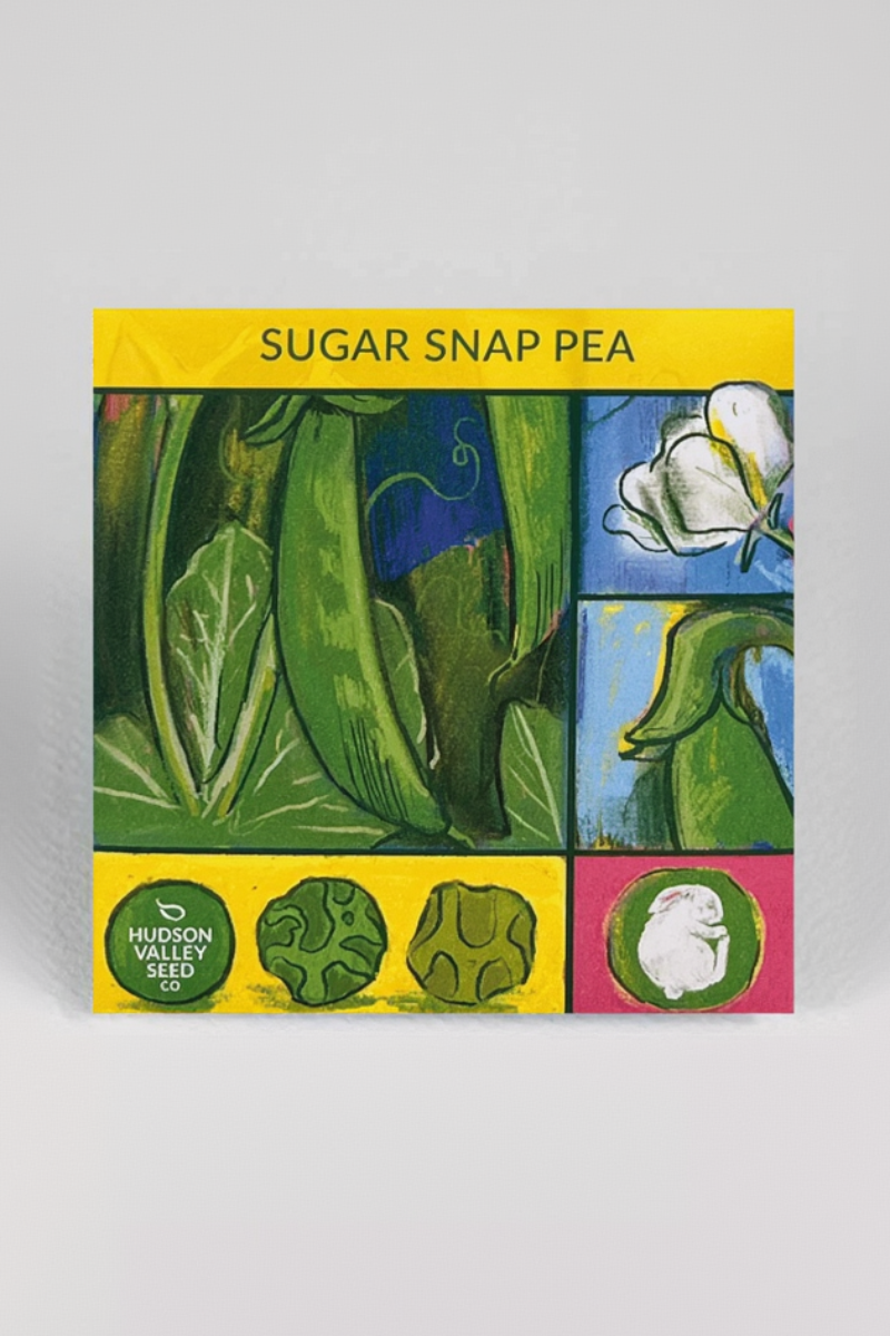 Hudson Valley Seed Co. Sugar Snap Pea Seeds