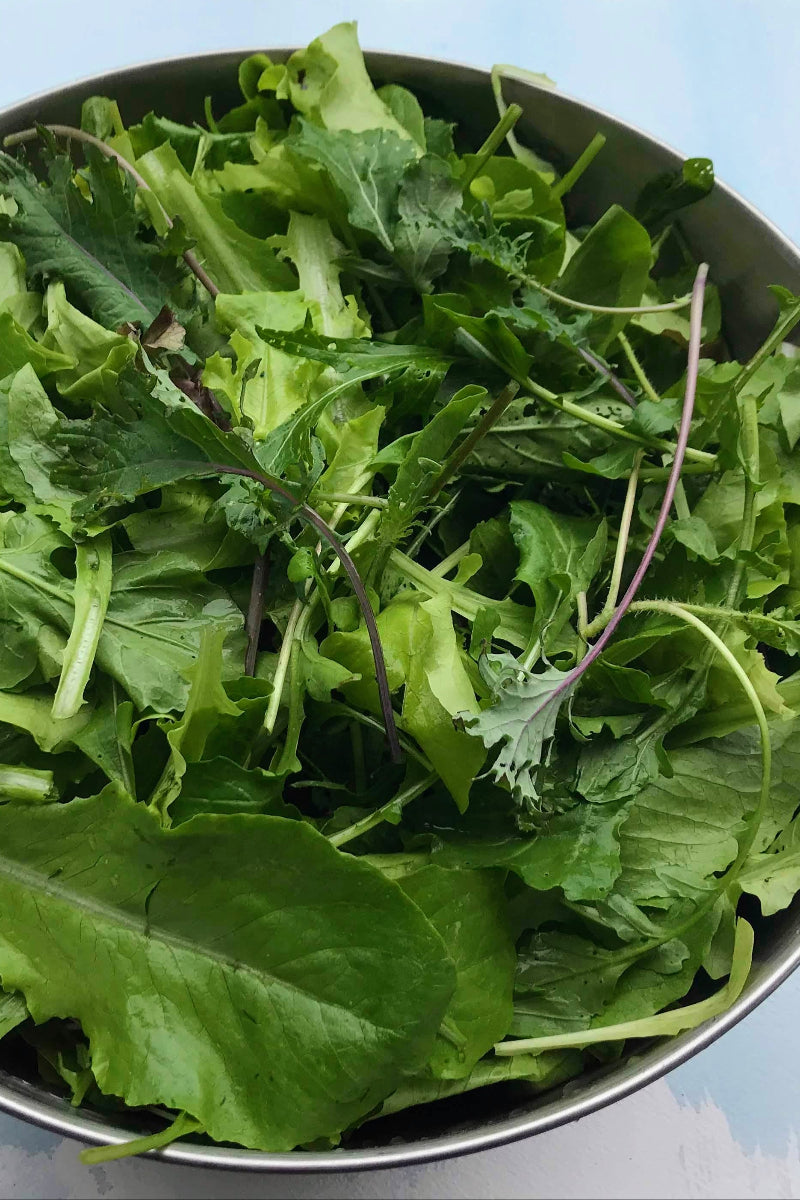 Hudson Valley Seed Co. Ultimate Salad Bowl Seeds