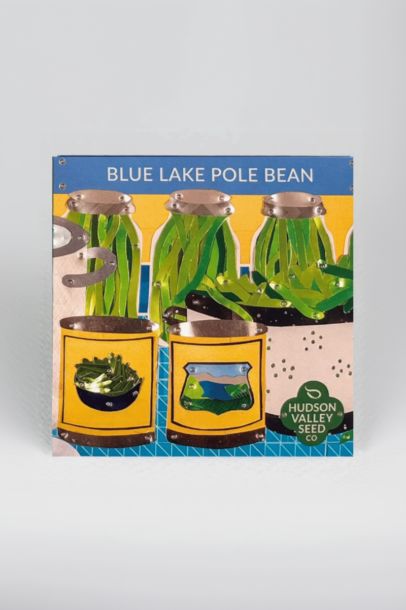 Hudson Valley Seed Co. Blue Lake Pole Bean Seeds