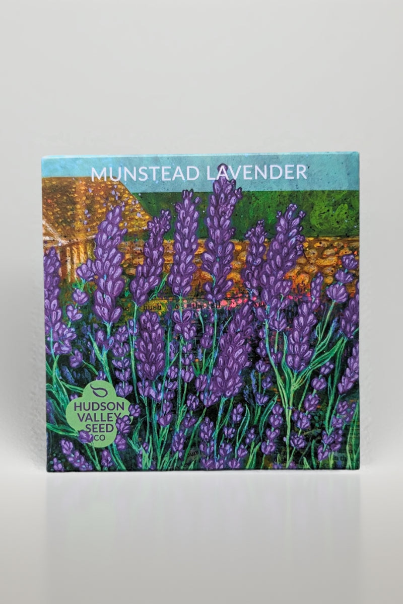 Hudson Valley Seed Co. Munstead Lavender Seeds