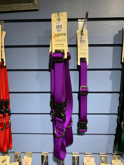Lupine Adjustable 1" Collar Purple 16'-28'