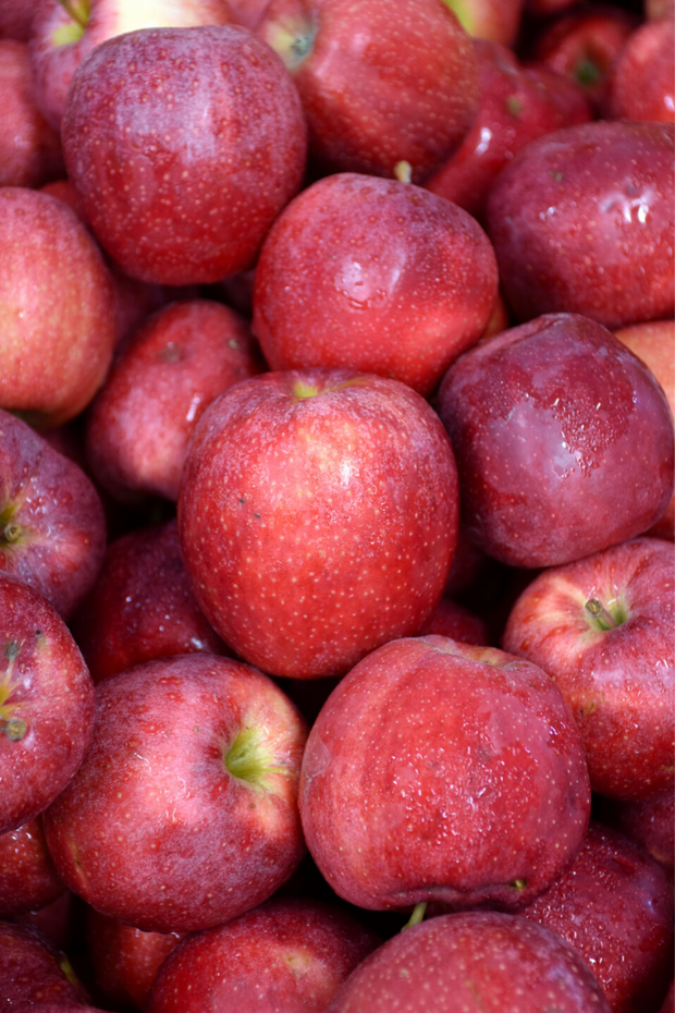 Fruit, Apple Gala