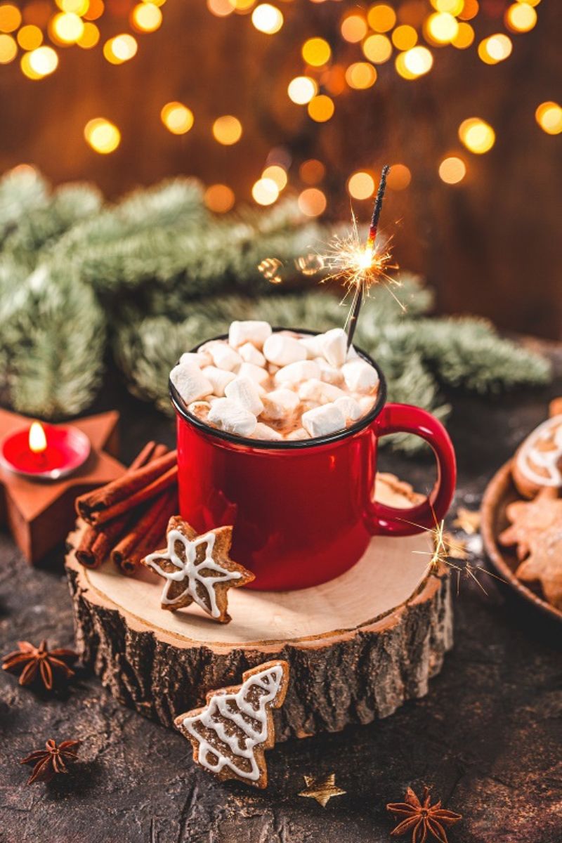 Mini Retro Reindeer Hot Chocolate