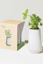 SEED, MINT TAPERED TUMBLER GRO