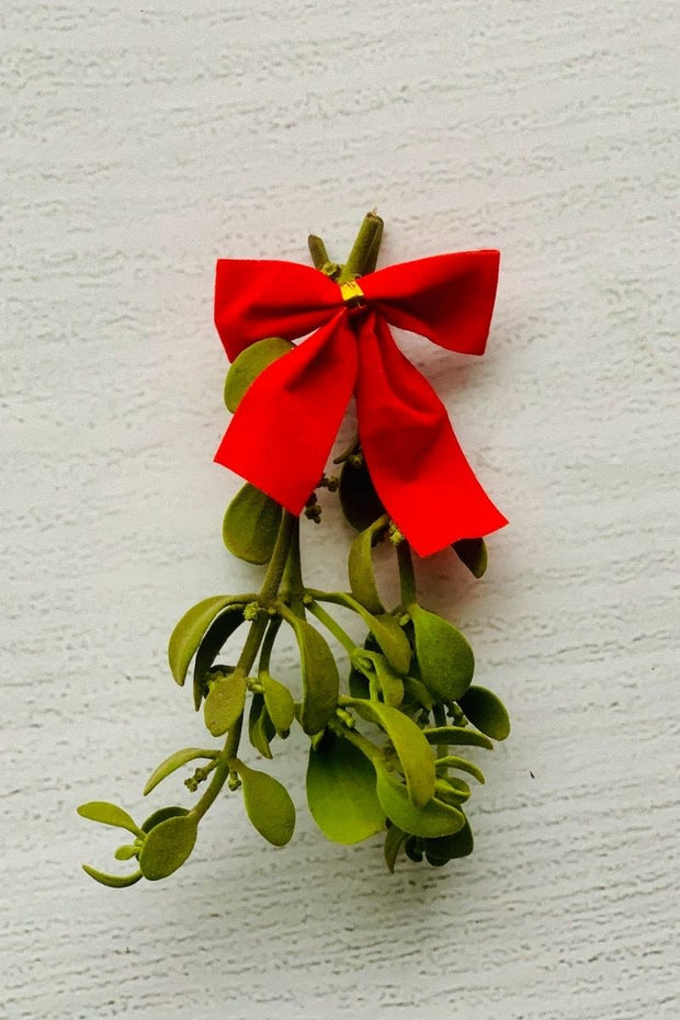 Mistletoe